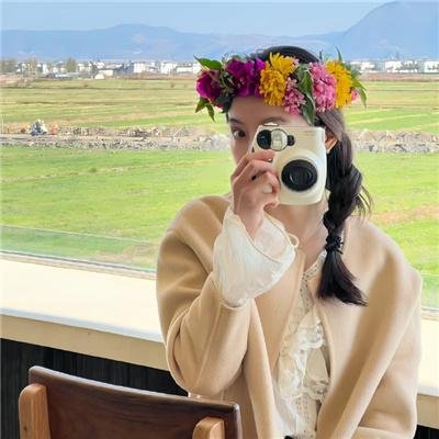 玉楼三凤